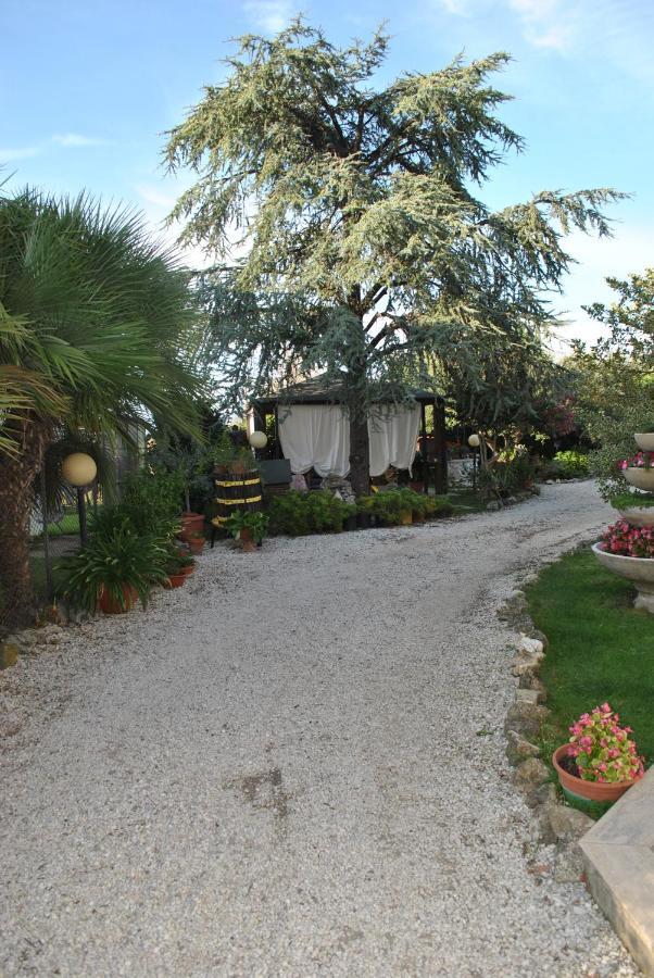 Villino Alle Terme Viterbo Buitenkant foto