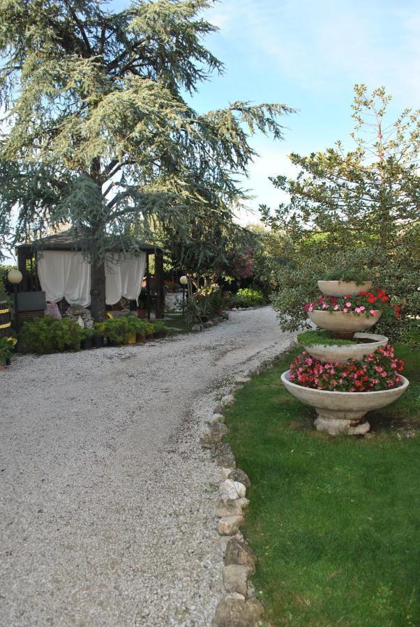 Villino Alle Terme Viterbo Buitenkant foto